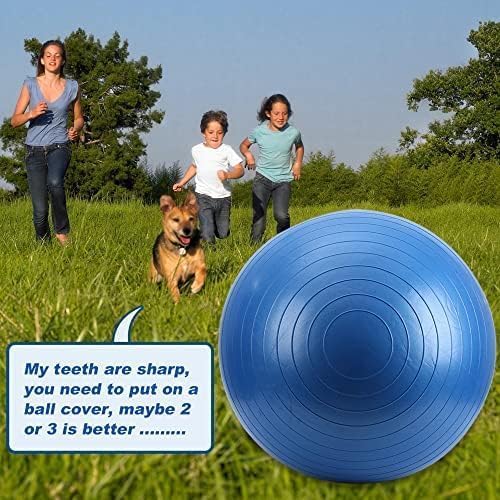 22" Herding Ball - 2025 Herding Horse Ball Toys for Horses Mega Herding Dog Balls with Hand Pump, Herding Ball Toys for Horses Stall