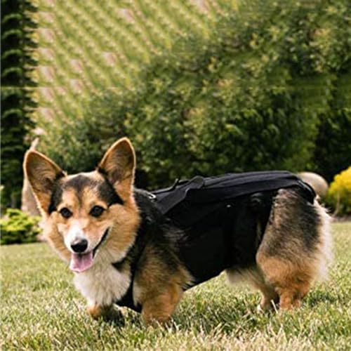 Luqeeg Dog Back Bracer for Spinal Surgery Recovery, Herniated Disc, Arthritis - Adjustable Support with Gentle Pressure, Comfortable &, Ideal for Dogs, (M)