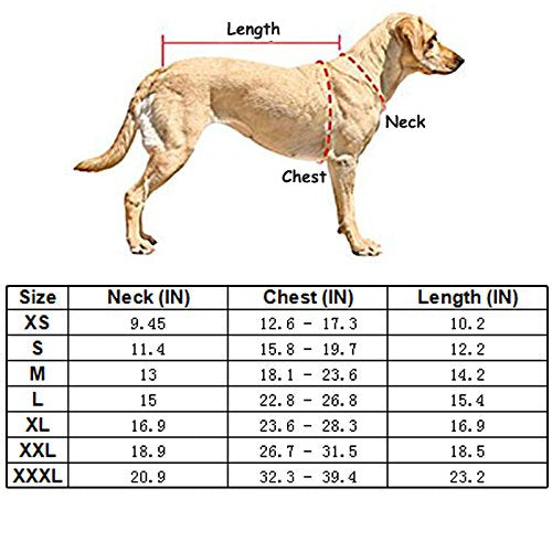 Creation Core Windproof Plush with Sport Vest Dog Clothes Night Reflective Jacket Pet Keep Warm Jacket No Pull No Choke Design Eco-Friendly for Small and Large Big Dog (M, Blue) Medium - BeesActive Australia