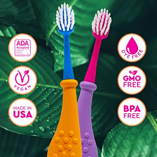 RADIUS Big Kidz Forever Brush Replaceable Head for Children, 6 Years and Up, BPA Free ADA Accepted for Growing Teeth and Gums, 2 Heads - Extra Soft Coral, Blue, Chartruese, Mint, Lavendar, Tangerine 1 Count (Pack of 6)