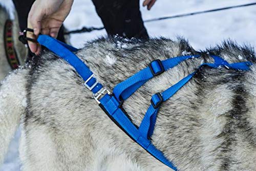 Neewa Adjustable Sled Pro Harness (Medium, Blue), Dog Harness Large Breed, Dog Pulling Harness, Giant Dog Harness, Sled Harness for Pulling, Great for Dog Joring Medium - BeesActive Australia