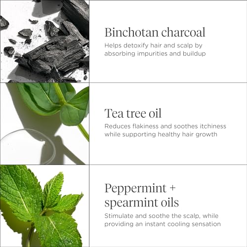Briogeo Scalp Revival Charcoal + Tea Tree Cooling Hydration Scalp Mask