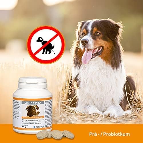 DIA TAB chewable tablets for dogs/cats 6X5.5 g - BeesActive Australia