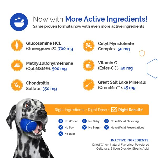GlycanAid Maintenance Joint Nutrition for Dogs (60 Chewable Tablets), Made in USA-USA Ingredients: Glucosamine HCL, Chondroitin Sulfate, MSM, Vitamin C 60 Count - PawsPlanet Australia