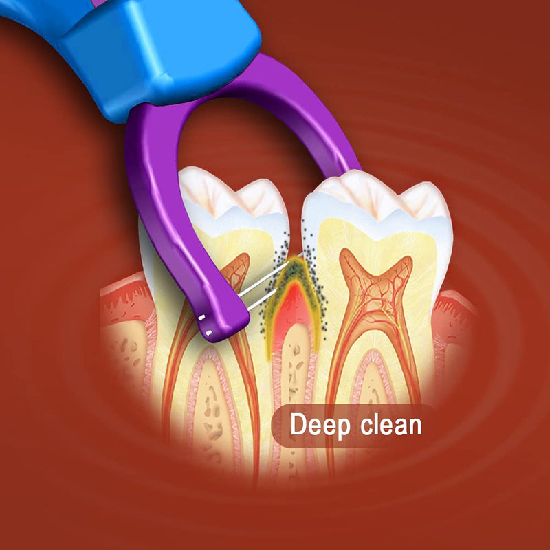 T.Smile Evolutionary Clean Dental Flossers, Kit of Refills Plus Long Handle (2 Handles + 200 Refills) 2 Handles + 200 Refills - BeesActive Australia