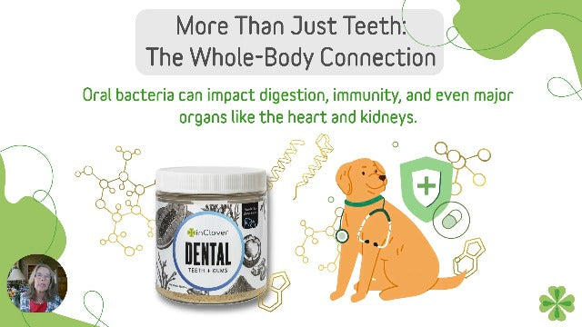 InClover Dental Powder for Dogs & Cats, Natural Teeth Cleaning