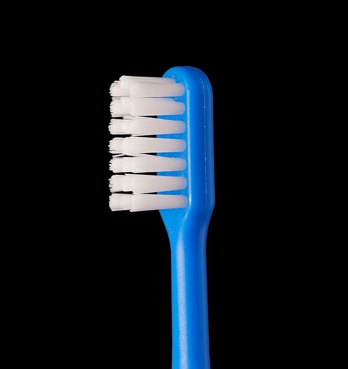 L APIS: LA-215 Children's Toothbrush, Happy Colors, 12 Colors, Dental Recommended, Animal Pattern, Elementary School Students, Iroenpitsu, Made in Japan, Junior Animal, Eco Packaging, 12 Pieces -  Australia