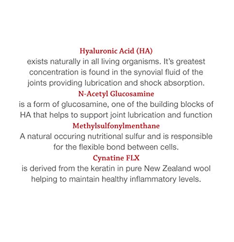 Hyalogic Pro Advanced HyaFlex for Dogs – Amazing Joint Support Supplement for Your Buddy – 30 Beef Flavored Wafers - Dog Joint Supplement w/Hyaluronic Acid, Glucosamine, MSM & Cynatine (30 Tablets) - PawsPlanet Australia