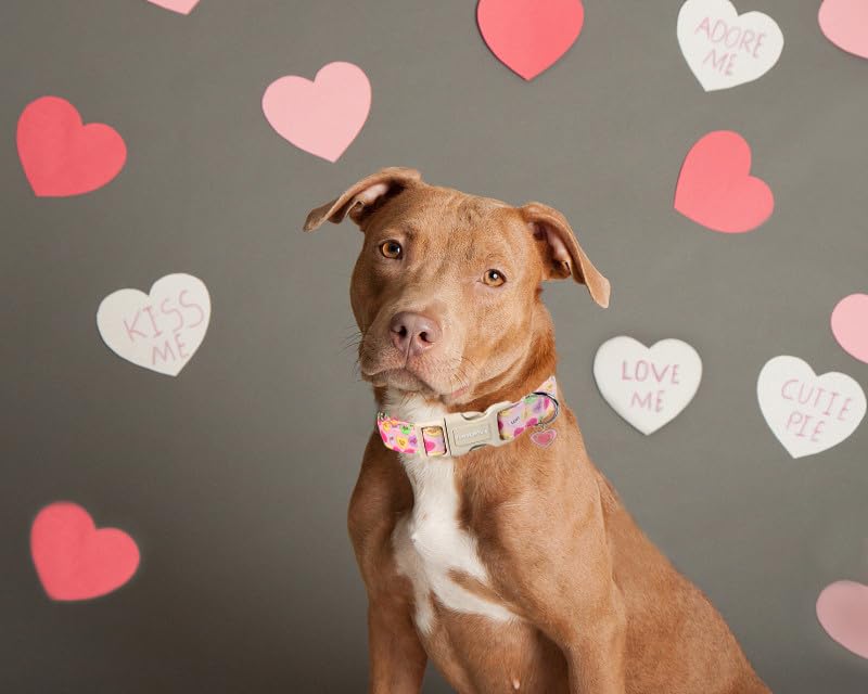 Lionet Paws Valentine's Day Dog Collar- Cute Pink Sweet Heart Dog Collars with Plastic Buckle, Light Adjustable Dog Collars for Small Dogs X-Small (Pack of 1) Heart Letter - BeesActive Australia
