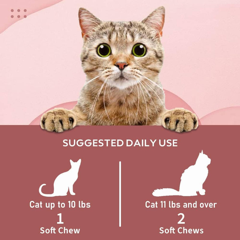 Probiotics And Prebiotics for Cats. Soft Chew Supplement to improve Digestive Health, Gut Health and Immune System Support 90 chews