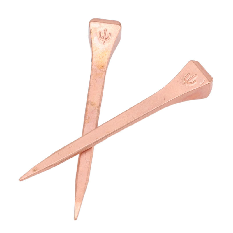 Horseshoe Nails, Heavy Duty Horseshoe Nails Copper Plated 250 Pieces for Shoeing (E5slim) - BeesActive Australia