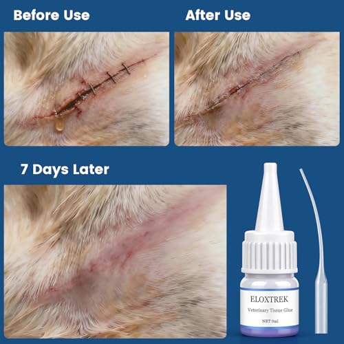3ml Veterinary Surgical Skin Glue with 15 Precise Applicators, Strong Surgical Adhesive, Blue-Tinted Fast-Acting Tissue Wound Glue, Waterproof Wound Sealant for Multi-Pet Households