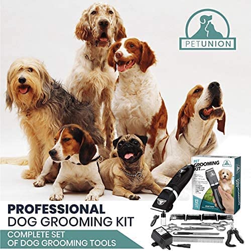 Pet Union Professional Dog Grooming Kit - Cordless Low Noise Dog Clippers for Grooming Thick Coats - All Pet Safe Cat Hair Trimmer - Pet Grooming Kit Includes Dog Hair Clippers, Nail Trimmer & Shears Gunmetal - BeesActive Australia