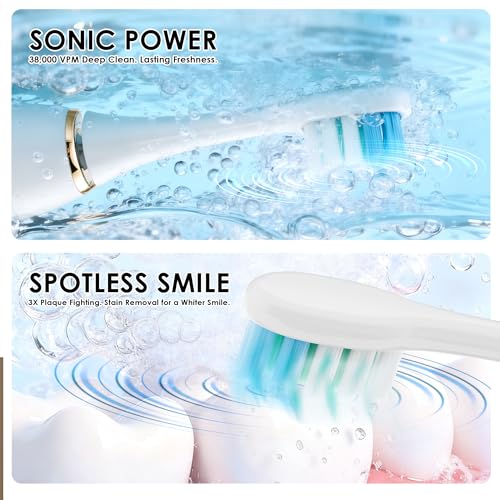 38000 VPM Sonic Electric Toothbrush Set with 6 Brush Heads-2 Minute Timer-4 Cleaning Settings，IPX7 Waterproof,Lightweight and USB Rechargeable Toothbrush for Oral Care (White) White