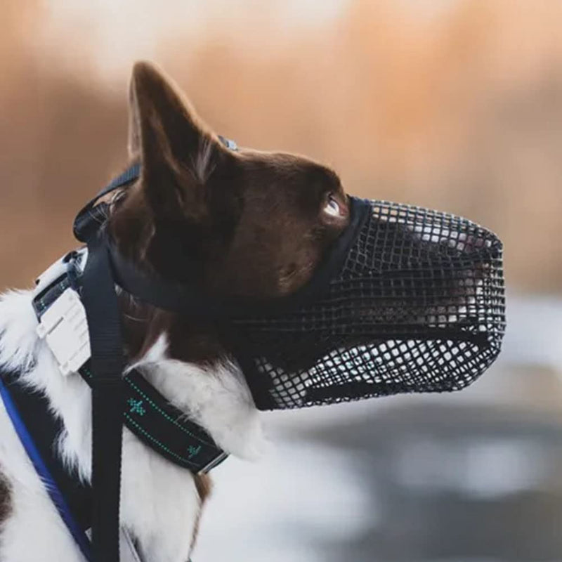 Adiwo muzzle for dogs, dog muzzle with rounded mesh loop, breathable, safe, quick fit for small, medium and large dogs, adjustable eating protection, dog biting and chewing, M/22-25 cm - BeesActive Australia