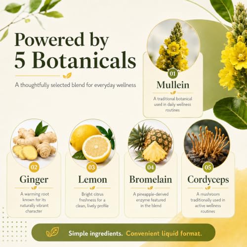Airovine Wild Mullein Drops for Lungs, 60ml,Mullein leaf extract Airovine
