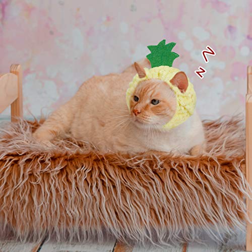 Weewooday 5 Pieces Cat Hat Cat Costume Outfit Bunny Hat with Ears Funny Cat Hat for Cats and Small Dogs Kitten Puppy Party Christmas Costume Accessory Headwear(Cute Style) Cute Style - BeesActive Australia