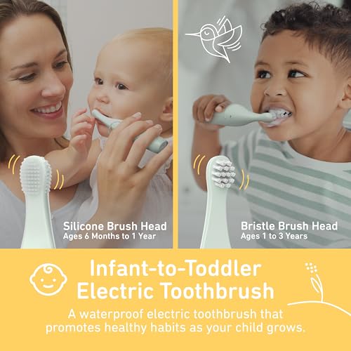 Pure Enrichment PureBaby Infant-to-Toddler Electric Toothbrush and Replacement Head Bundle