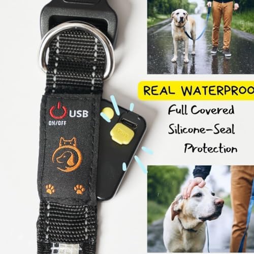 Light Up Dog Collar,Led Dog Collar,Rechargeable Waterproof Led Dog Collar with Remote,Led Dog Collar Breakaway,Glow in Dark Led Dog Collar,Dog Lights for Night Walking（Small） - BeesActive Australia