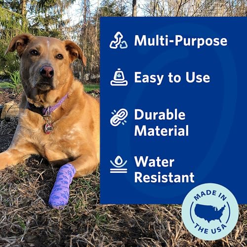 OVIK Health PetFlex Paw Pack – Flexible Self-Adhering Elastic Bandage for Wound Care – First Aid Wrap for Small Animals Like Dogs, Cats, and Other Pets - 2 inch, 36 Rolls Paws Variety Pack 36 Count