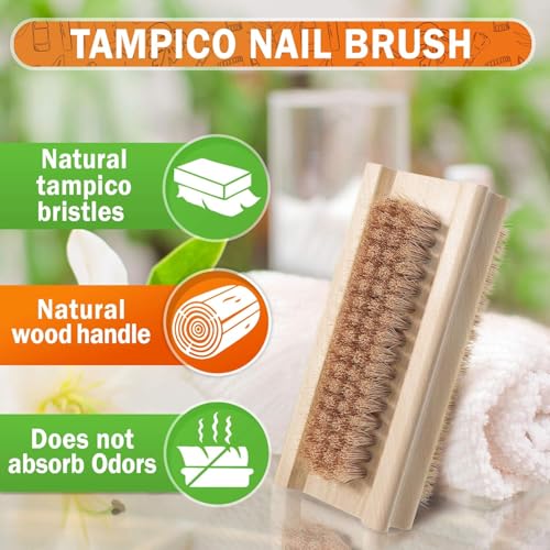 Konex Non-Slip Wooden Two-sided Hand and Nail Brush with Tampico Fiber Bristle. Fingernail brush with Beechwood body and Plant Based Fibers (Pack of 2) 2 Count (Pack of 2)