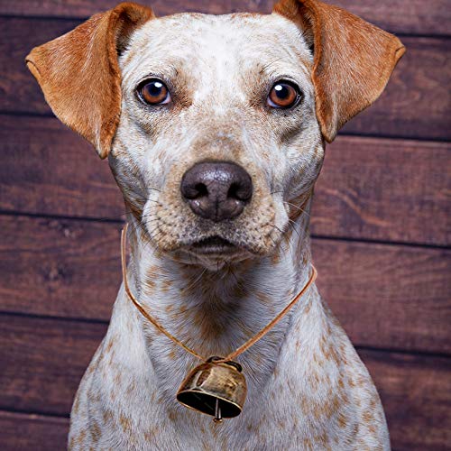 5 Pack Grazing Copper Bells, Metal Cow Bells for Dogs, Animal Copper Loud Bronze Bell, Small Brass Bell, for Cow Horse Sheep Cats Small Pets Anti-Theft Accessories (Bronze), 1, Brass Bronze Iron, - BeesActive Australia