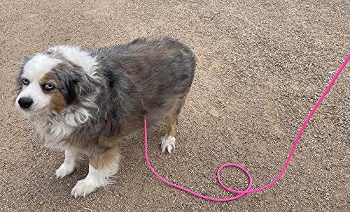12-Foot Mini Pig Harness - Adjustable Harness & Leash for All Animals - Pigs, Ferrets, Rabbits, Guinea Pigs, Dogs, Cats, Reptile, and Chickens Pink - BeesActive Australia