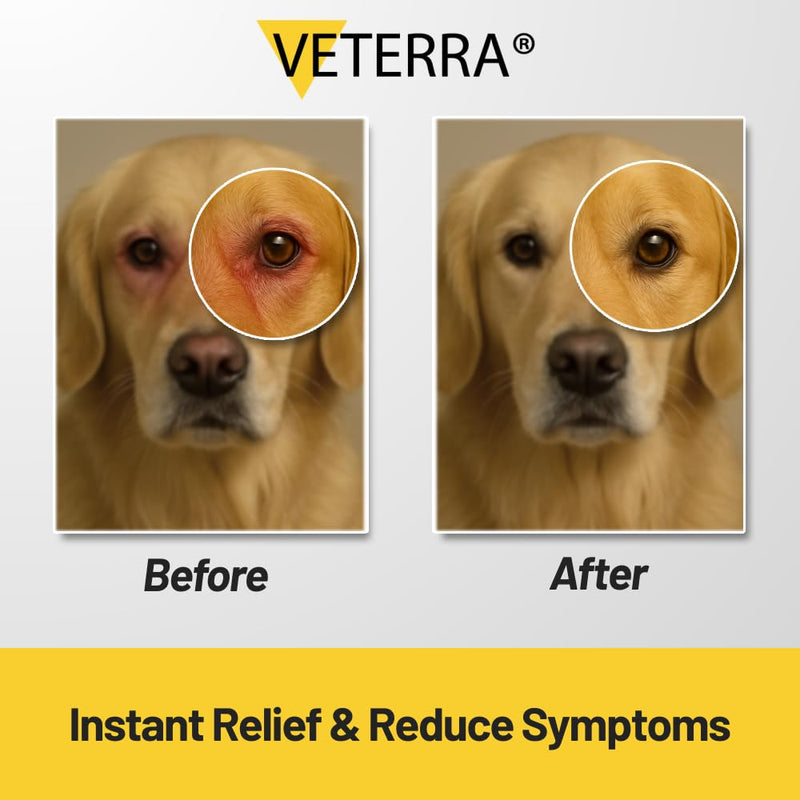 Dog Eye Drops | Eye Drops for Dogs & Cats | Treats Eye Infections, Soothes Allergies, Relieves Dry Eyes & Pink Eye | Effective Tear Stain Cleaner for Dogs 150 ml (5 fl oz)