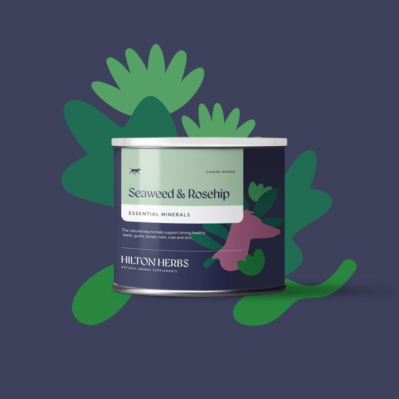 Hilton Herbs Seaweed & Rosehip Natural Dog Supplement. 100% Natural Ingredients. Daily Nutrition and Dental Care for Dogs. Help Fight Against Plaque and Combat Bad Breath. 125 g