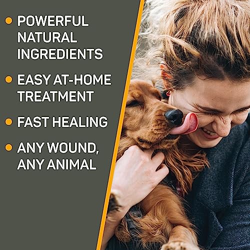 Silver Honey Hot Spot & Wound Care Pet First Aid Spray Gel, 8 fl oz