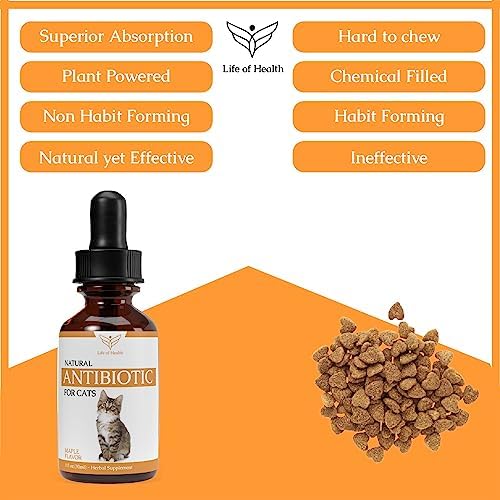 Natural Antibiotics for Cats - Cat Antibiotics - Cat Antibiotic - Pet Antibiotics - Cat Immune Support - Antibiotic for Cats - Cat Multivitamin - Cat UTI Antibiotics - - BeesActive Australia