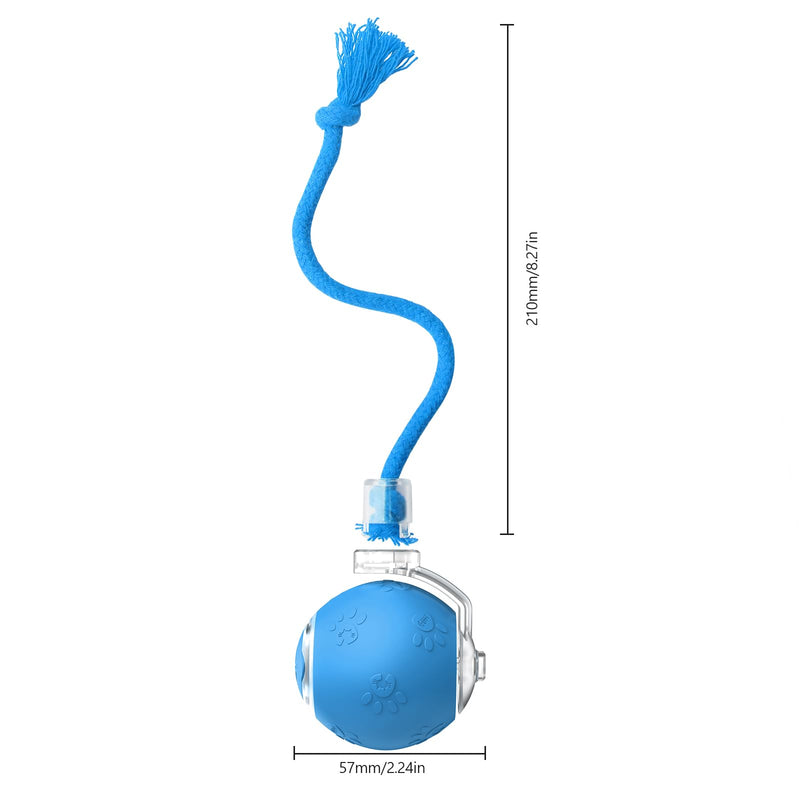 Cat Toys for Indoor Cats, Interactive Cat Toy, USB Rechargeable, Fast Rolling Dog Ball Toy On Rug, Bird Chirping & Motion Activated Cat Ball, Anti-Depression Pet Toy Fun Gift with Light, Blue - BeesActive Australia
