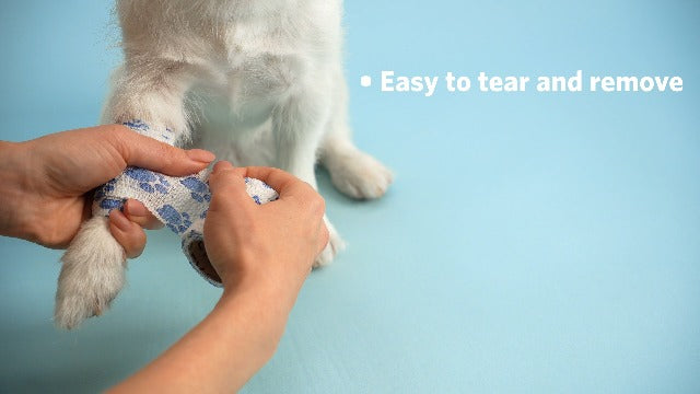 OVIK Health PetFlex Paw Pack – Flexible Self-Adhering Elastic Bandage for Wound Care – First Aid Wrap for Small Animals Like Dogs, Cats, and Other Pets - 2 inch, 36 Rolls Paws Variety Pack 36 Count