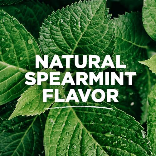 Tom's of Maine Anti Plaque Flat Spearmint Floss, Pack of 4