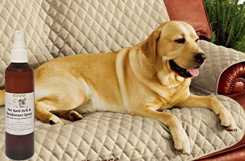 GW Natural Dog Deodorant Cologne & Anti-Itch Spray for Dogs and Cats with Jasmine Orange Blossom Scent - PawsPlanet Australia