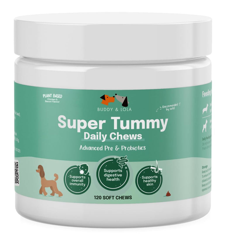 Buddy & Lola Probiotics For Dogs - Daily Dog Probiotic Chews For Digestive Health - Beneficial Prebiotics, Probiotics & Fibre For Better Gut, Firm Stools, Less itching - Plant Based Chews For Dogs 120 Soft Chews (1 Tub)