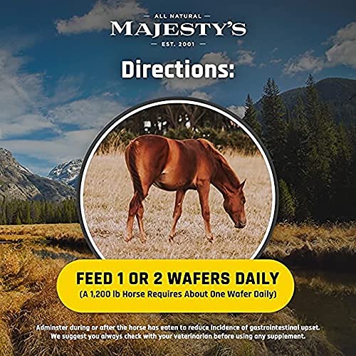 Majesty's Flex HA Wafers - Superior Performance Horse/Equine Joint Support Supplement - HA, Vitamin C, Yucca, Glucosamine (Peppermint, 60 count) Peppermint - BeesActive Australia