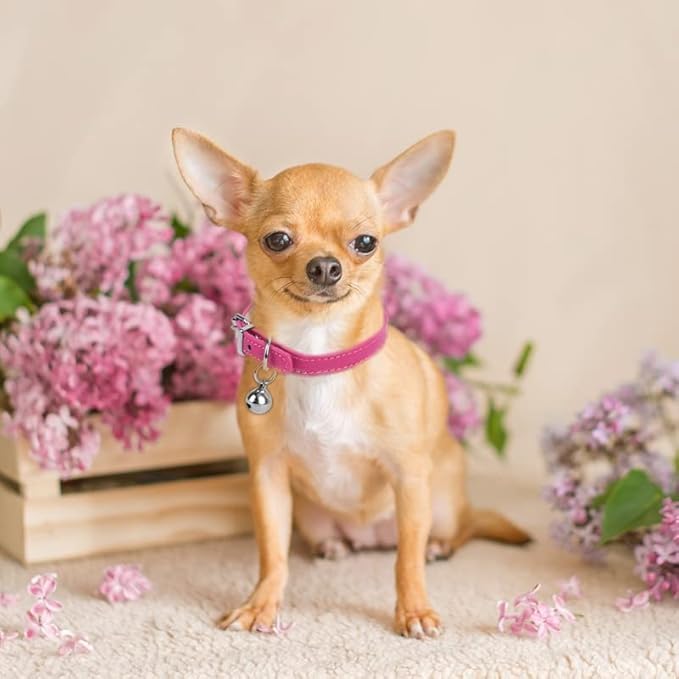 Pink Small Dog Collar with Bell for Faux Leather Puppy Collar with Bells Adjustable Basic Kitten Collar Boys Girls Cat Collar for XXS XXsmal XS XSmall Pets Tiny Little Extra Small Breed Animal Pink Small (10.5-13 inches) - BeesActive Australia