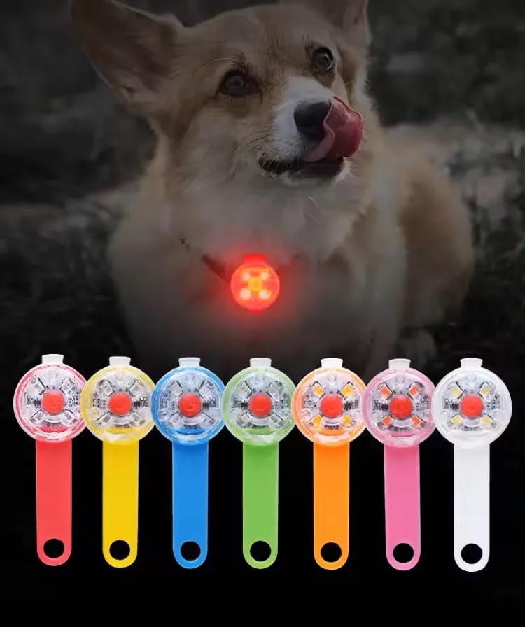 AQACoach Safety LED Flashing Light for Dogs, Cats - USB Rechargeable LED Light Pendant Dog, 3 Flashing Modes Waterproof Safety Pet Lights - BeesActive Australia