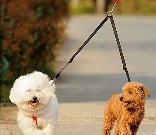 No Tangle Dog Leash Coupler, Dual Double Dog Adjustable Splitter Lead Sturdy Walker Trainer Leash for Two Dogs… - BeesActive Australia