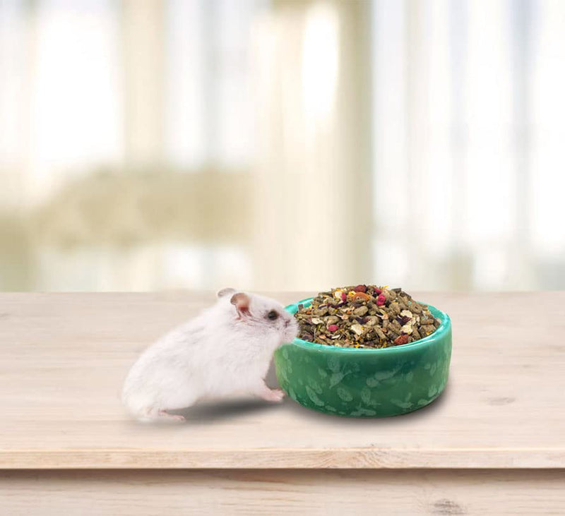 kathson 2 Pcs Hamster Food Bowl Guinea Pig Ceramic Water Bowl Small Animal Feeding Dish for Dwarf Hamster Gerbil Syrian Ferret Hedgehog Chinchilla Bunny (Green)… Green - BeesActive Australia