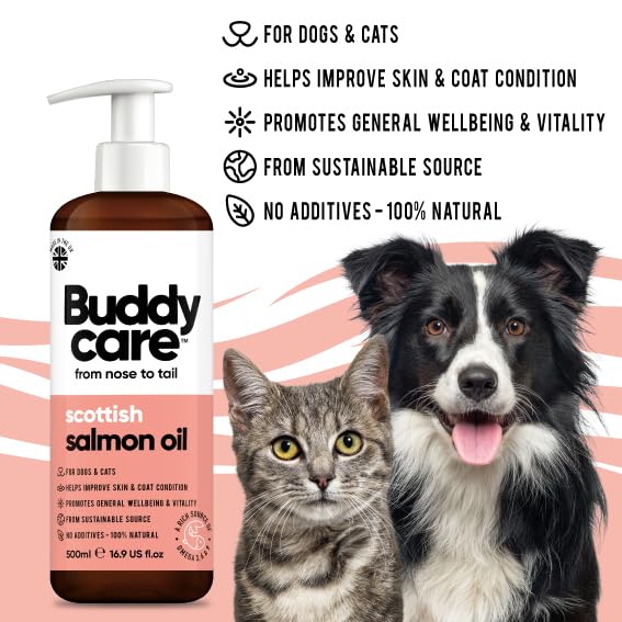 Buddycare Scottish Salmon Oil for Dogs and Cats (500ml x2) 100% Natural & Sustainable Supplement | Rich in Omega 3, 6 & 9 for Boosting the Health & Vitality of your Pet’s Skin, Coat & Immune System 500ml x2