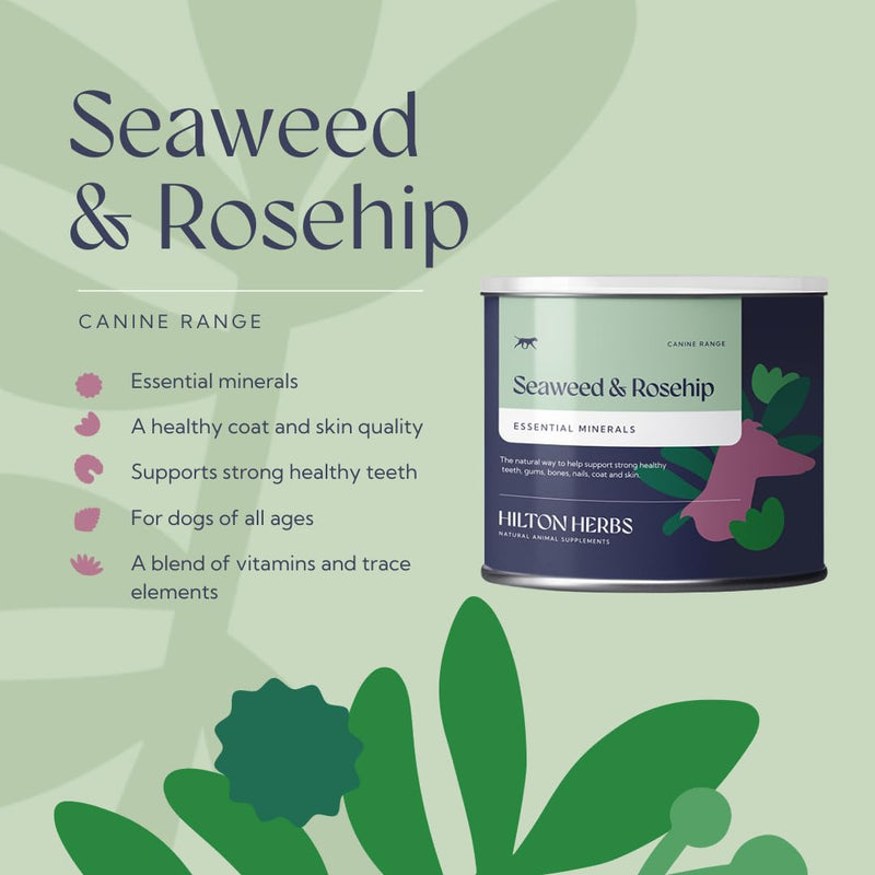 Hilton Herbs Seaweed & Rosehip Natural Dog Supplement. 100% Natural Ingredients. Daily Nutrition and Dental Care for Dogs. Help Fight Against Plaque and Combat Bad Breath. 125 g