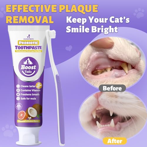 Cat Toothbrush and Toothpaste Kit + Cat Toothbrush for Daily Teeth Cleaning