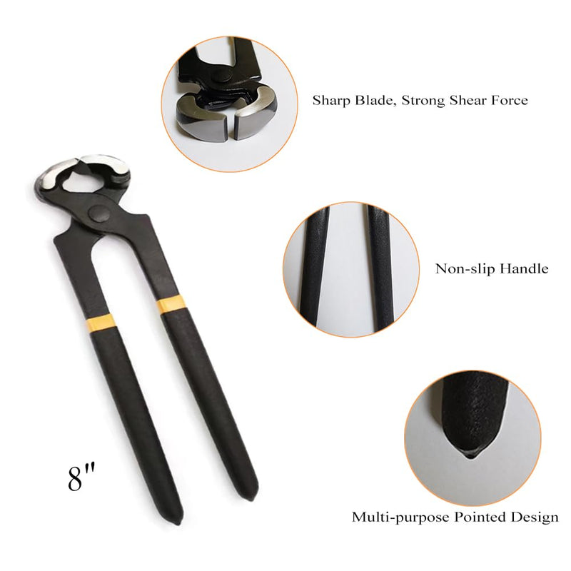 8 inch Horse Farrier Hoof Tool Kits, 5 Piece Professional Farrier Trimming Tools, Mini Hoof Rasp File Hoof Nipper Cutter Metal Hoof Shears and Horse Hoof Pick Brush - BeesActive Australia