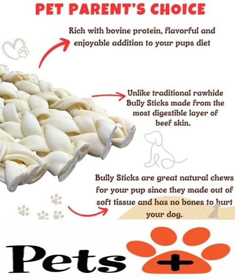 Pets Plus Premium Dog Treats – 3-Pack Braided Cheek Collagen Sticks for Dogs – Long-Lasting, Natural, High Protein Chew – Rawhide Alternative for Medium & Large Dogs 1 Ounce (Pack of 1)