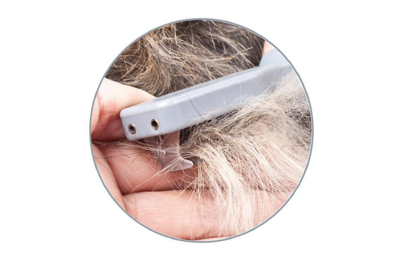 EHASO dematting harrow with 6 teeth - BeesActive Australia