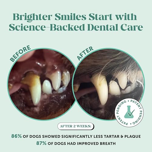 Pet Honesty Dog Dental Care Virtual Bundle – Breath Freshener Dental Powder for Large Dogs (60 Servings) + Brush Buddies Dental Sticks for Extra Small Dogs (40 Ct) – Teeth Cleaning, Plaque Support
