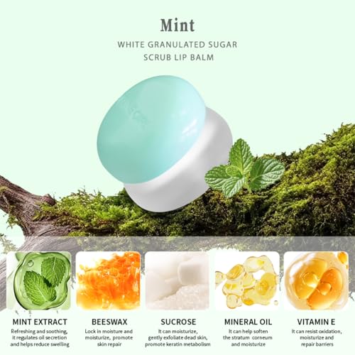 Lip Scrub, Sugar Scrub, Exfoliating & Moisturizing Lip Balm, Spatula Included, 2 Scents (#Coconut) #1Coconut
