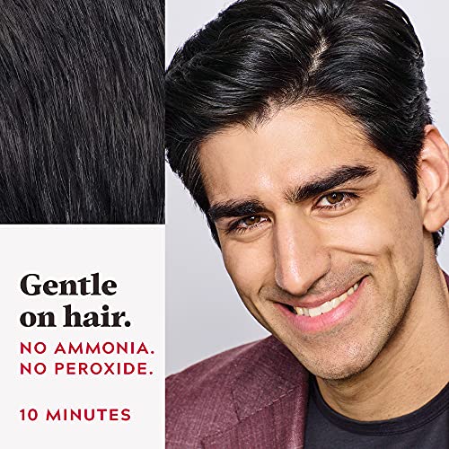 Just For Men Touch of Gray, Mens Hair Color Kit with Comb Applicator for Easy Application Real Black A-55 1 Count (Pack of 3) Hair Dye